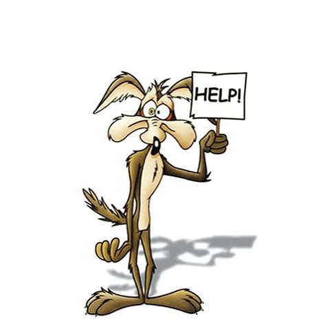 11376642_1567759673485171_1727505224_n