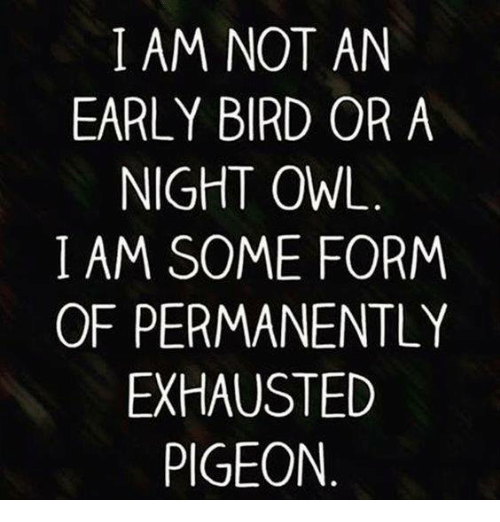 i-am-not-an-early-bird-or-a-night-owl-4729985