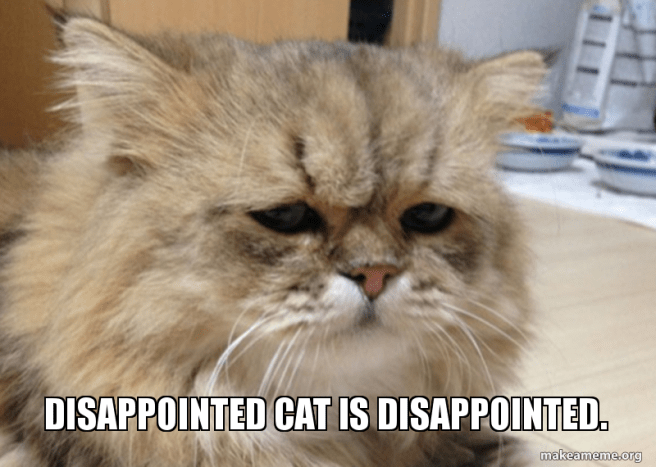 disappointed-cat-is-5b7230