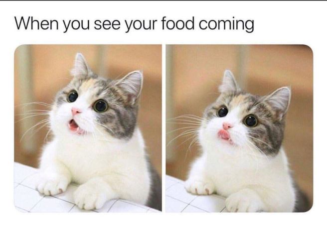 46693486_2174909662836355_6421409700093986507_n-9159925701